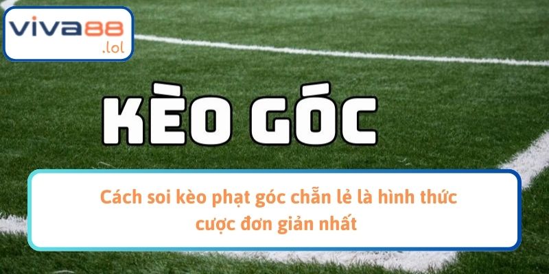Cách soi kèo phạt góc chẵn lẻ là hình thức cược đơn giản nhất